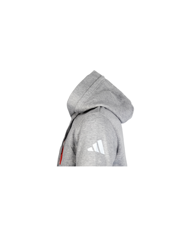 Sweat à capuche National Line Gris - Enfant