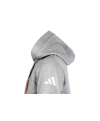 Sweat à capuche National Line Gris - Enfant