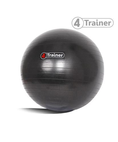 Ballon suisse Noir 65 CM
