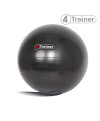Ballon suisse Noir 65 CM