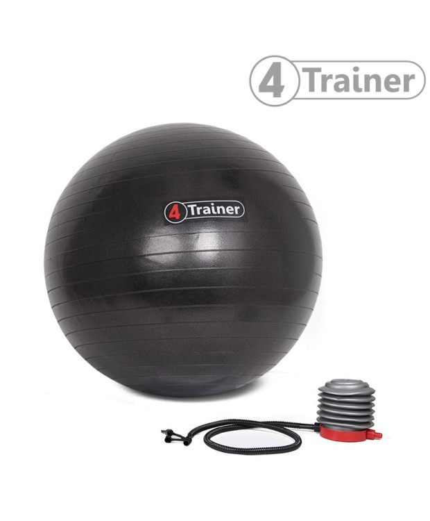 Ballon suisse Noir 65 CM