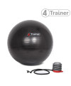 Ballon suisse Noir 65 CM