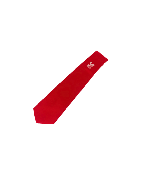 Cravate Commissaire Sportif Ju Jitsu