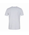 T-Shirt Manches Courtes Homme Gris Le Coq Sportif